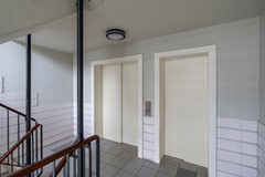 F07 1014STM Rubicondreef116.jpg